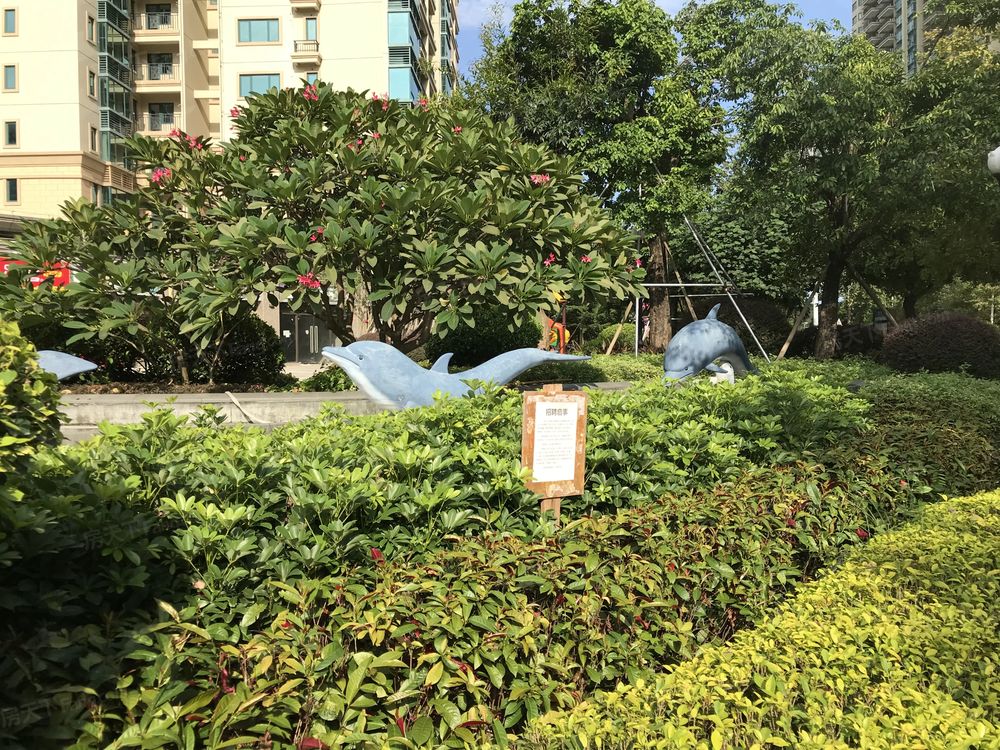 小区相关图