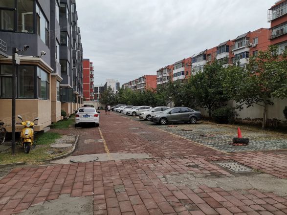 西兰岛实景图
