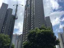 珠江太阳城C区 1室1厅 东 西