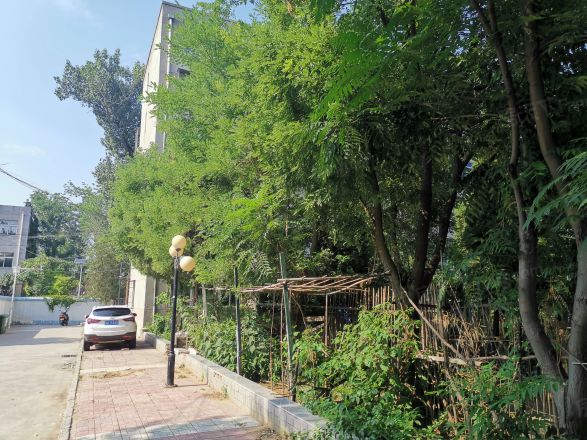 明源路小区实景图