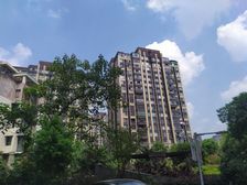 地段好,楼号位置佳,楼层好,户型理想