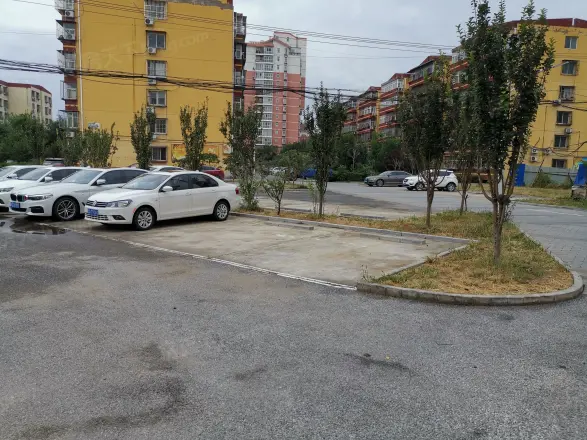 吴店东里实景图