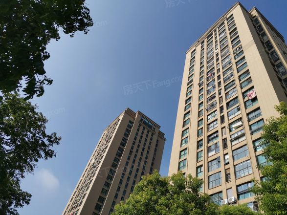 印象翡翠实景图