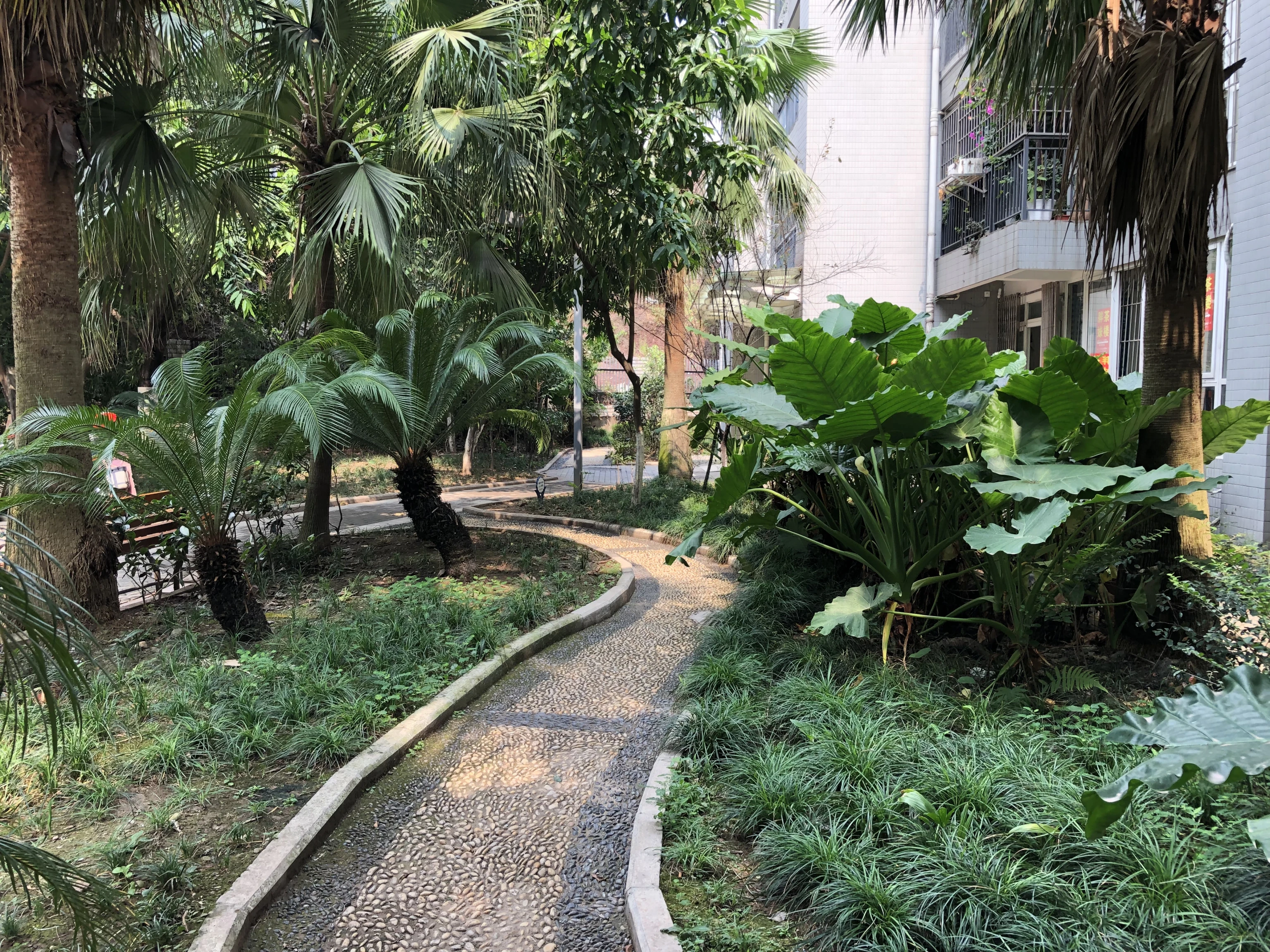 居家安静舒适 双轻轨出行便利 小区环境优美 户型方正