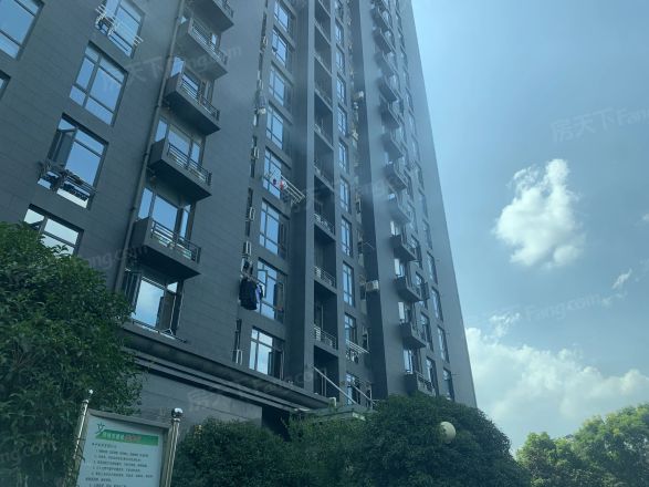 苏豪爱居实景图
