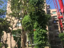 南坪商圈,天台岗,珊瑚,万达,户型好,采光好