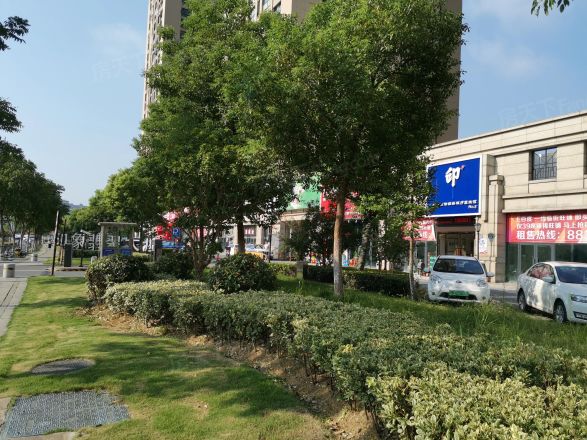 印象翡翠实景图