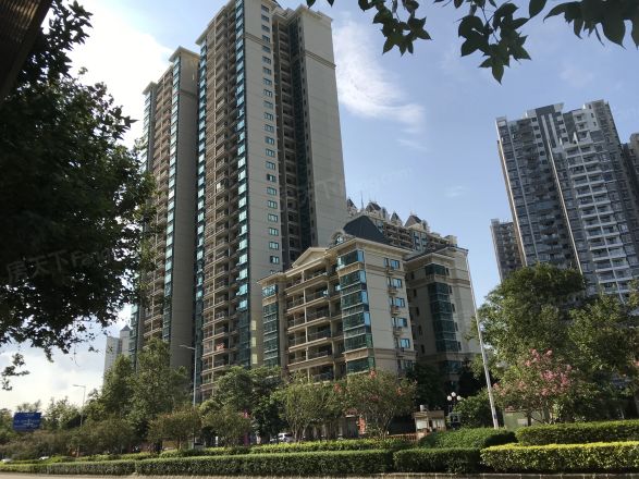 恒大绿洲三期实景图
