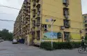 吴店东里实景图