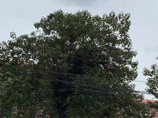 前泥洼小区南北通透两居出售交通便利