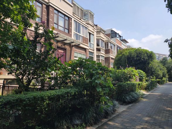 金湾华庭小区实景图