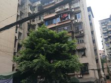 团园堡2室2厅西南