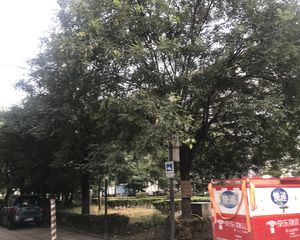 通州北苑·复兴里·3室·1厅