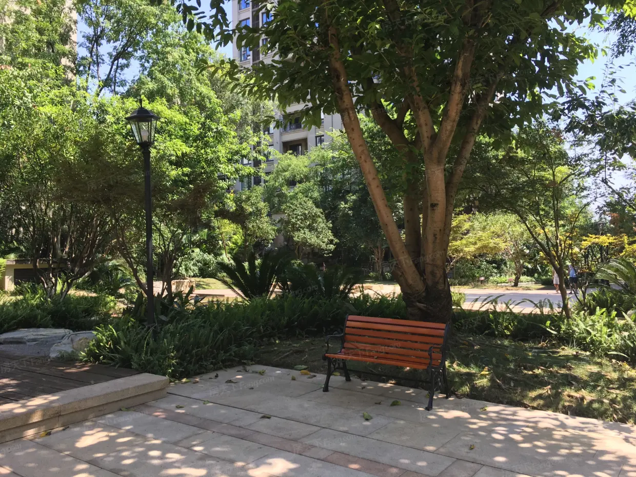 龙湖花千树二期