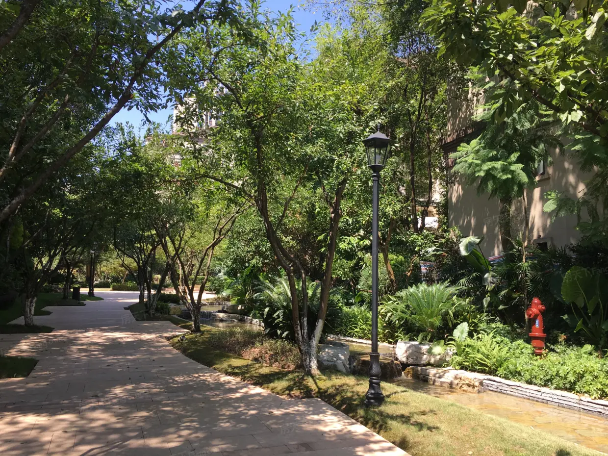 龙湖花千树二期