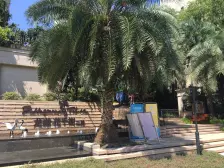 180W带走 龙湖花千树洋房大花园 带地下室 5居 着急出售