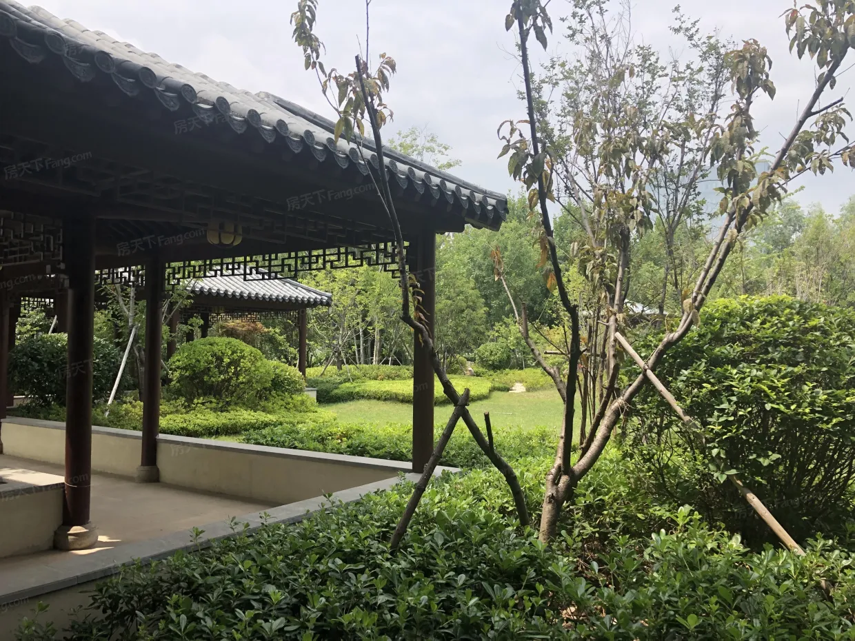 绿城·海棠印月