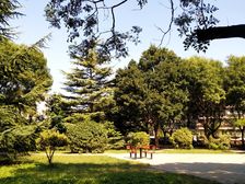 红星北里3室1厅南北