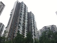 翡翠城四期3室1厅东西