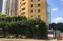 阜兴世纪公馆实景图