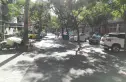 丁字沽十一段实景图