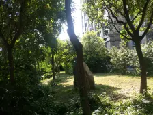 虹梅菁典 有钥匙 次顶楼 三开间朝南 中间位置 近华泾西