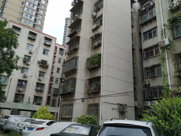 市中医院桐柏分院家属院实景图