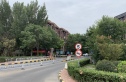 金地艺境实景图