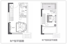 下花园·阿尔卡迪亚二期LOFT户型B