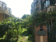 张江高品质小区,小区好位置,少有三房,诚意出售