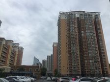九龙花园正规一居格局方正楼层好视野好