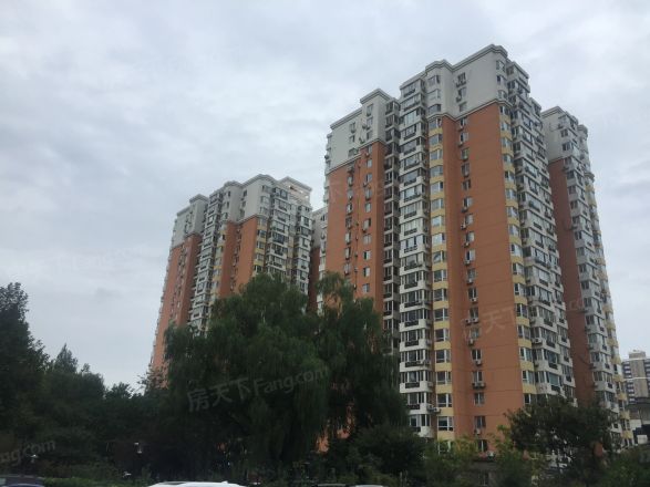 九龙花园实景图