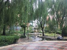 九龙花园南向一居后排不临街精装