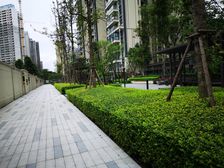 首开龙湖紫宸香颂3室1厅东南西南