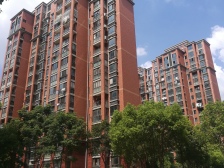 南北通透 大面积采光好 双卫双厅