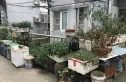 厚载村实景图