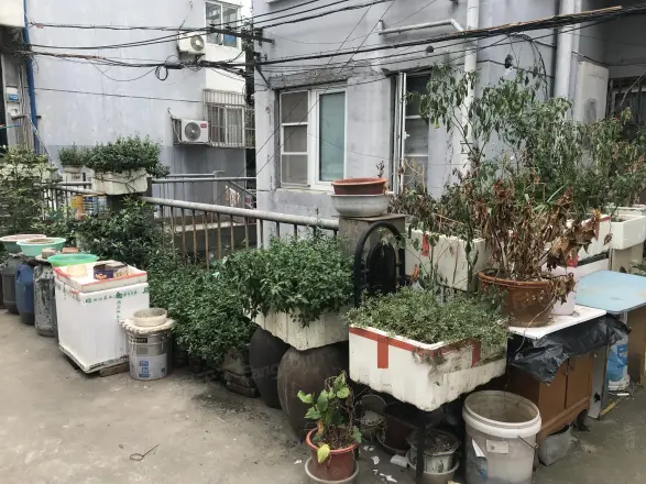 厚载村实景图