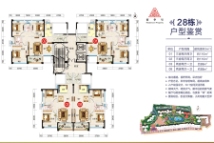 南天豪庭28栋户型