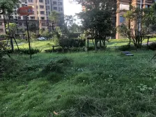 高东·品欣雅苑·2室·2厅