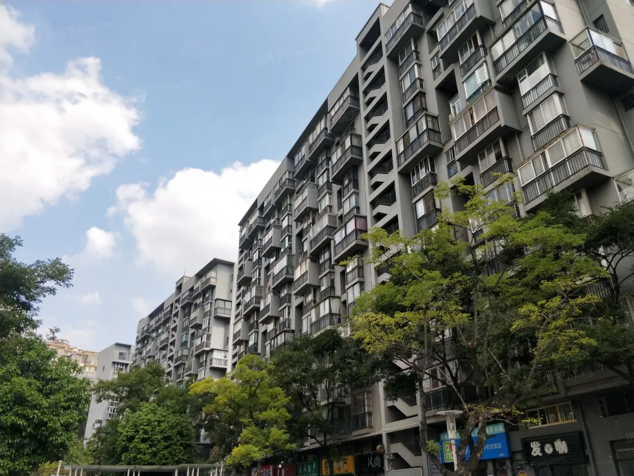 二手房买卖市场动态一览