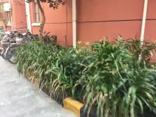 一楼抬高地面3个台阶不潮湿,有约15平米天井花园