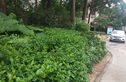 荣域实景图