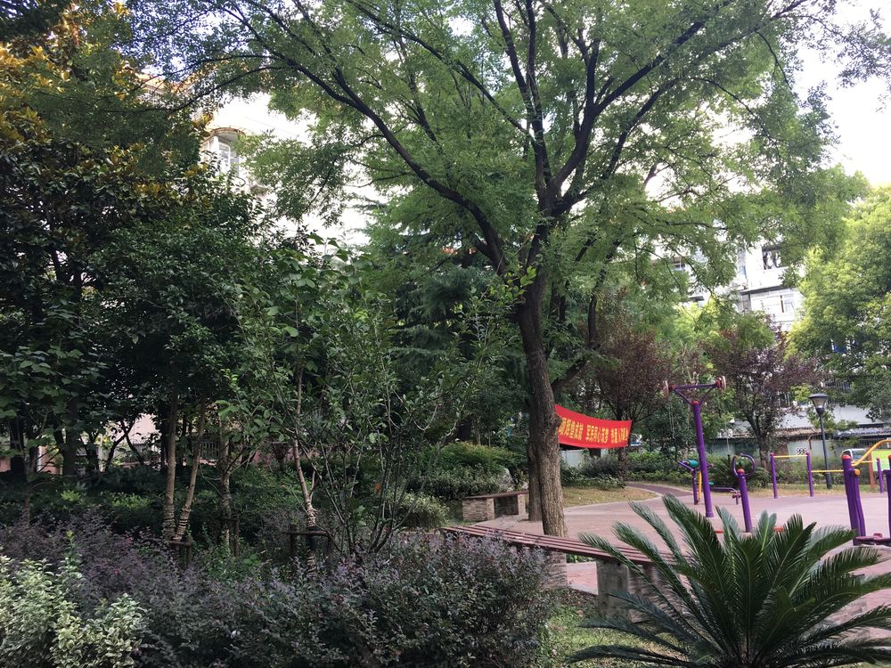 小区相关图