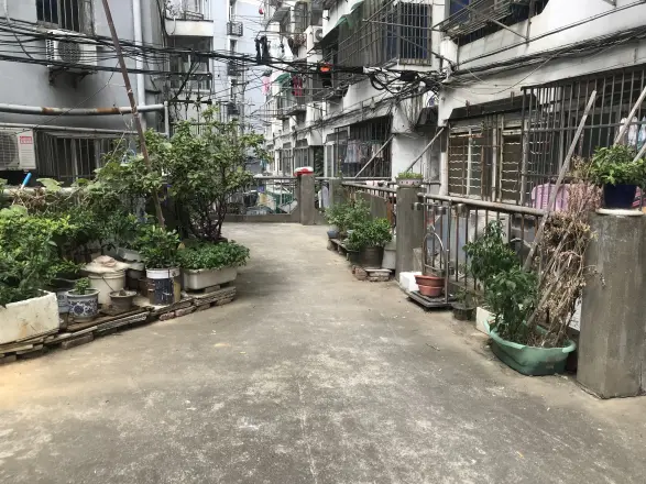 厚载村实景图
