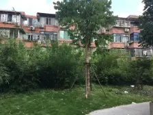 近地铁 现场实勘 刚需上车 无抵押 新上房源