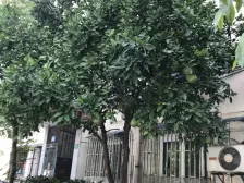 好楼层的三房 房龄新 采光好