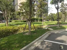 中间楼层 采光好,无抵押 新上房源