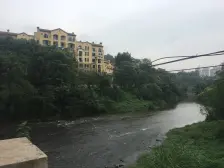 纯别墅小区,坐山望水,环境优美,住家舒适,静逸。