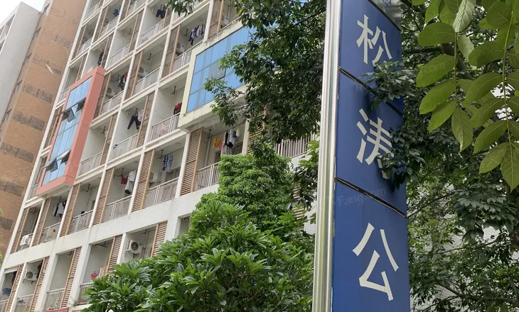 松山湖地/铁口 松涛公寓 首付15万 可租2800 繁华地段 送家私电!