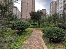 文化厅团购房,东区房本,中间楼层大两房带车位地下室